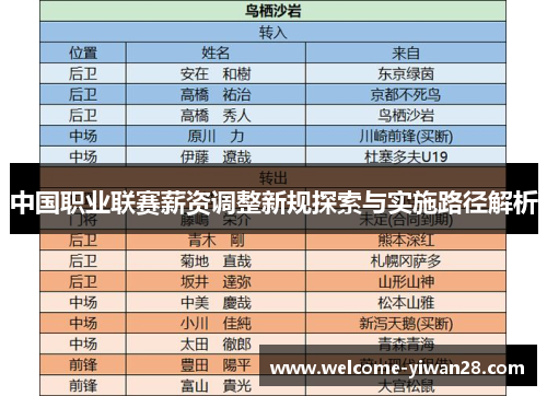 中国职业联赛薪资调整新规探索与实施路径解析
