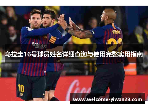 乌拉圭16号球员姓名详细查询与使用完整实用指南