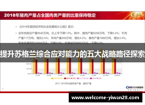 提升苏格兰综合应对能力的五大战略路径探索